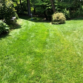 Long Grass Cleanup by Complete Care Lawn Service LLC reviewed on August 20, 2025
