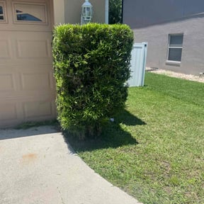 Bush Trimming by Moore & Moore Lawns, LLC reviewed on August 21, 2025