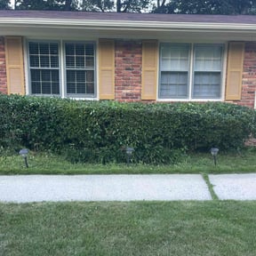 Bush Trimming by Cut Different Lawn Care reviewed on November 20, 2025