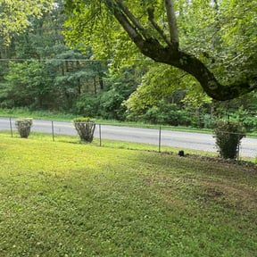 Bush Trimming by Elite Lawn Service LLC reviewed on August 18, 2025