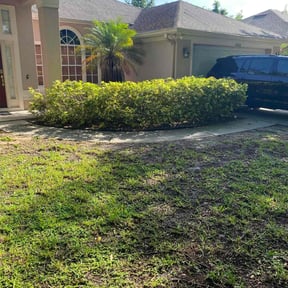 Bush Trimming by Cutting Edge Lawn Services reviewed on August 19, 2025