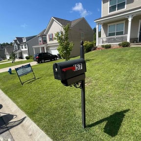 yard care by CjPressure reviewed on August 15, 2025