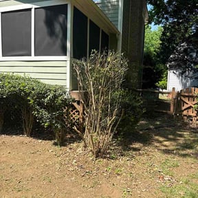 Bush Trimming by CubbyCutCare reviewed on April 29, 2026