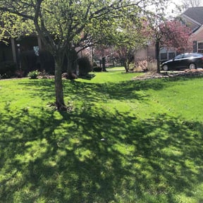 residential landscaping by SunnySide Servicing reviewed on May 17, 2022