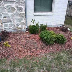 Flower Bed Weeding by M+A Yard Services Lp reviewed on May 13, 2026