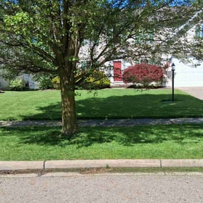 landscaping services by Jay Jay & W Landscaping, LLC reviewed on August 17, 2025