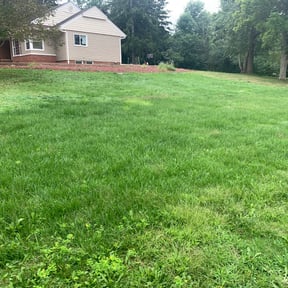 Flower Bed Weeding by ON THE RIGHT TRACK PROPERTY MAINTENANCE reviewed on August 18, 2025