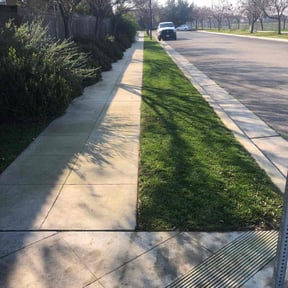 residential landscaping by House Perfect reviewed on August 18, 2025
