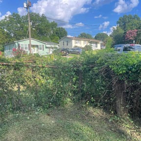 Bush Trimming by A Man and His Machines Lawn Services LLC reviewed on August 16, 2025