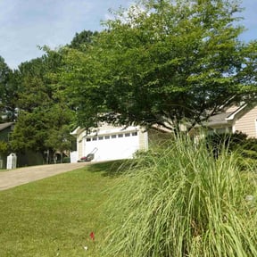 lawn service by Ryan's Mowing LLC reviewed on August 17, 2025