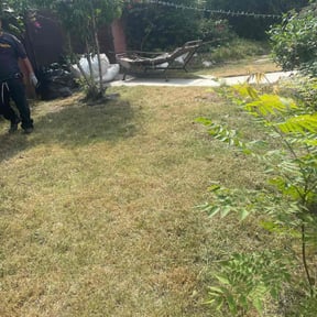 Bush Trimming by A&Dmaintenance, LLC reviewed on August 19, 2025