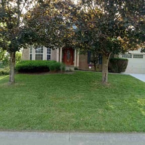 landscaping by Trappery reviewed on February 2, 2026