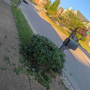 Bush Trimming by The Yard Heroes Landscaping &amp; Lawn services reviewed on April 6, 2026