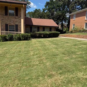 Bush Trimming by DISCOVERY LANDSCAPE LLC reviewed on September 14, 2026