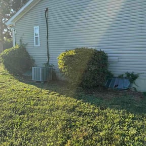 Bush Trimming by Totally majestic lawncare reviewed on September 11, 2026