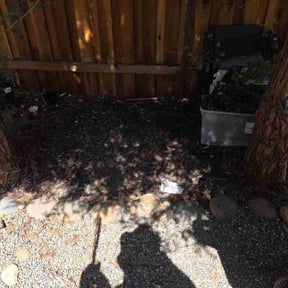 Leaf Removal by After-Hours Maintenance LLC reviewed on September 14, 2026