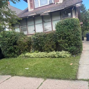 Bush Trimming by Frank's Lawn Care reviewed on October 12, 2026