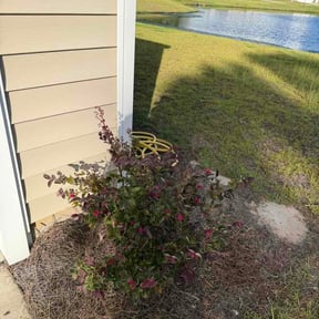Flower Bed Weeding by Raz mowing reviewed on October 13, 2026