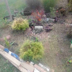 Flower Bed Weeding by Hugheslandscaping reviewed on October 9, 2026