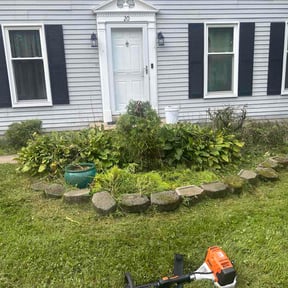 Bush Trimming by Douglas Lawn and Services LLC reviewed on October 13, 2026