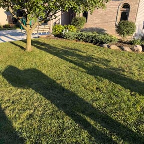 Flower Bed Weeding by 7Brother Landscaping reviewed on September 13, 2026