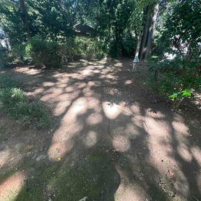 Leaf Removal by Smchomeimprovement LLC reviewed on October 13, 2026