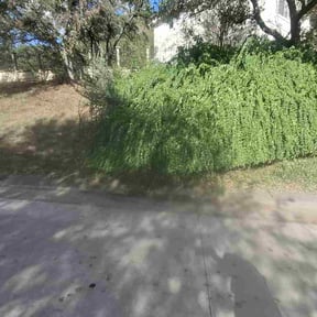 Bush Trimming by Dave's lawn service reviewed on October 19, 2026