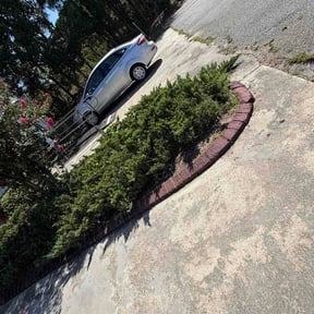Flower Bed Weeding by Beach breeze lawns reviewed on October 11, 2026