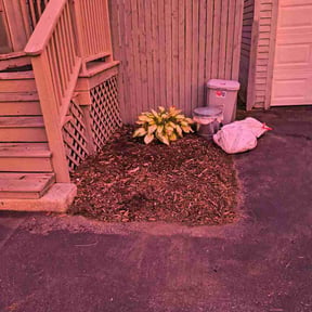Flower Bed Weeding by AM Professional Cleaning Service reviewed on October 10, 2026