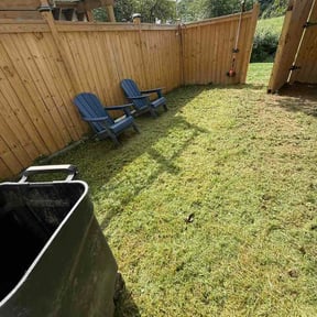 Leaf Removal by Fox Will Fix It reviewed on September 14, 2026