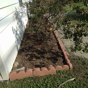 Flower Bed Weeding by A cut above reviewed on September 13, 2026