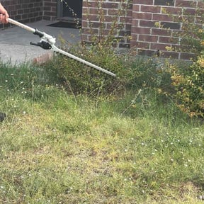 Bush Trimming by Re Image lawn care reviewed on October 14, 2026
