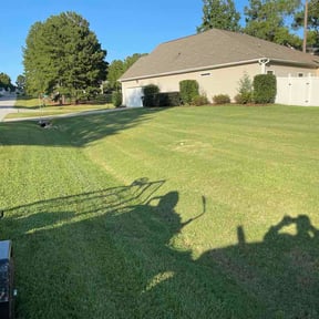 Bush Trimming by Sunup turf solutions reviewed on October 13, 2026