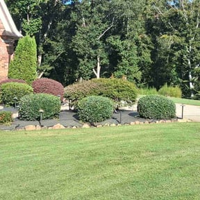 Bush Trimming by Bluebird Landscaping reviewed on October 9, 2026