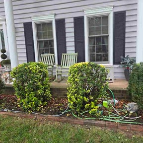 Bush Trimming by Robinson Tender Lawn Care reviewed on September 12, 2026