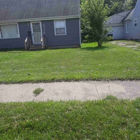 Leaf Removal by Trail lawn care services and more reviewed on August 25, 2026
