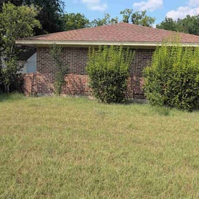Bush Trimming by REMAVAIL PRO LAWN reviewed on August 15, 2026