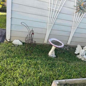 Flower Bed Weeding by Wigginton Dreamscapes reviewed on August 23, 2026