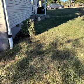 Bush Trimming by Haulin Hooligans LLC reviewed on October 9, 2026