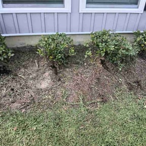 Flower Bed Weeding by E&amp;B landscaping reviewed on September 14, 2026