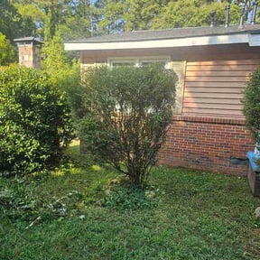 Bush Trimming by Rusty’s Landscaping reviewed on October 10, 2026