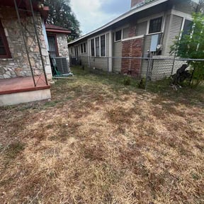 Bush Trimming by JG Lawn Care reviewed on September 14, 2026