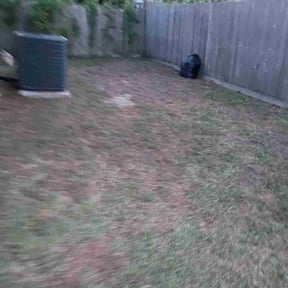 Leaf Removal by Our Vision Media LLC reviewed on October 13, 2026