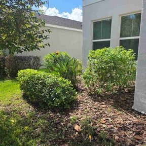 Bush Trimming by Biggs Solutions LLC reviewed on October 15, 2026