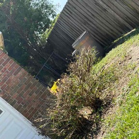 Bush Trimming by Pro Lawns 320 reviewed on September 17, 2026