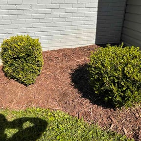 Flower Bed Weeding by Steves Lawn Service reviewed on September 13, 2026