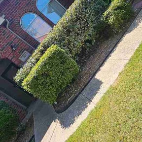 Bush Trimming by Good Shepherd Lawn Care reviewed on August 30, 2026