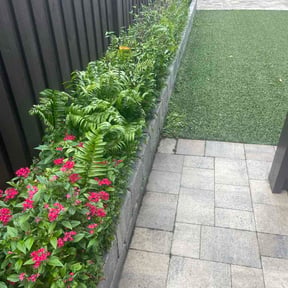 Bush Trimming by Hogman and Sons Lawncare Plus reviewed on October 9, 2026