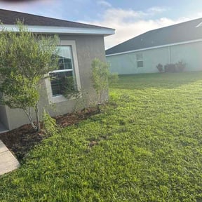 Bush Trimming by Joe Cimino Landscaping reviewed on October 11, 2026