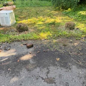 Bush Trimming by A New day  Lawncare Services reviewed on October 13, 2026